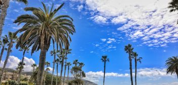 Dear Leader Joe at the Oscars in Los Angeles